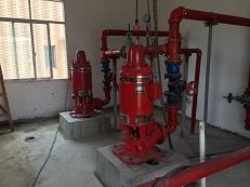 干式電機(jī)長軸消防泵的型號解釋(圖2)